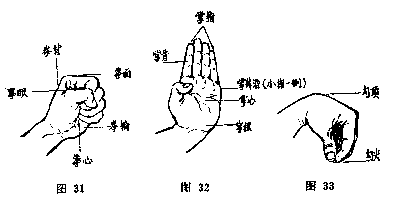 撺拳拢袖的近义词,拳缩的意思