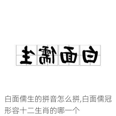 白面儒生的拼音怎么拼,白面儒冠形容十二生肖的哪一个