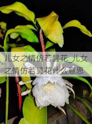 儿女之情仿若昙花_儿女之情仿若昙花什么意思