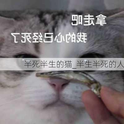 半死半生的猫_半生半死的人