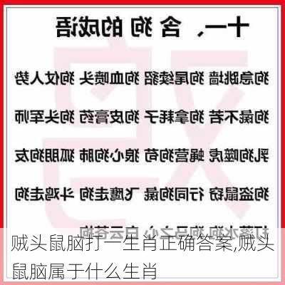 贼头鼠脑打一生肖正确答案,贼头鼠脑属于什么生肖