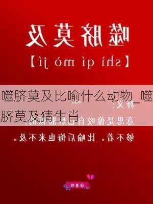 噬脐莫及比喻什么动物_噬脐莫及猜生肖