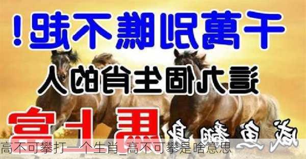 高不可攀打一个生肖_高不可攀是啥意思