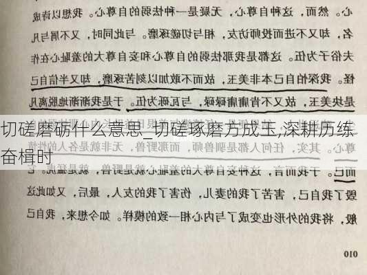 切磋磨砺什么意思_切磋琢磨方成玉,深耕历练奋楫时