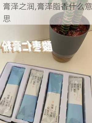 膏泽之润,膏泽脂香什么意思