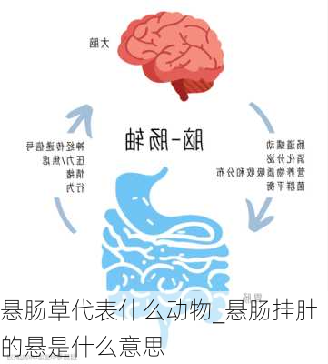 悬肠草代表什么动物_悬肠挂肚的悬是什么意思