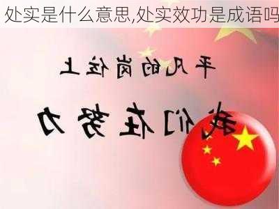 处实是什么意思,处实效功是成语吗