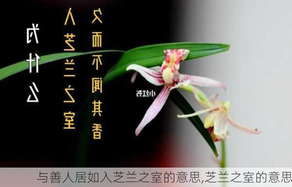 与善人居如入芝兰之室的意思,芝兰之室的意思