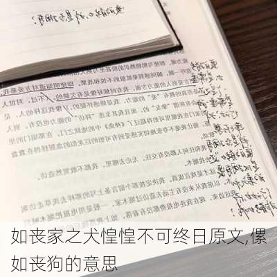 如丧家之犬惶惶不可终日原文,傫如丧狗的意思