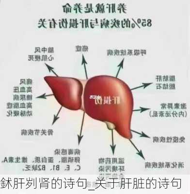 鉥肝刿肾的诗句_关于肝脏的诗句