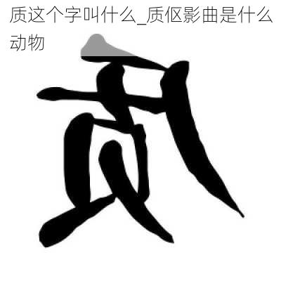 质这个字叫什么_质伛影曲是什么动物