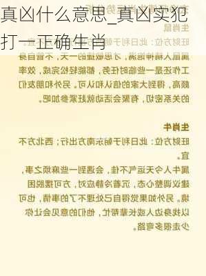 真凶什么意思_真凶实犯打一正确生肖