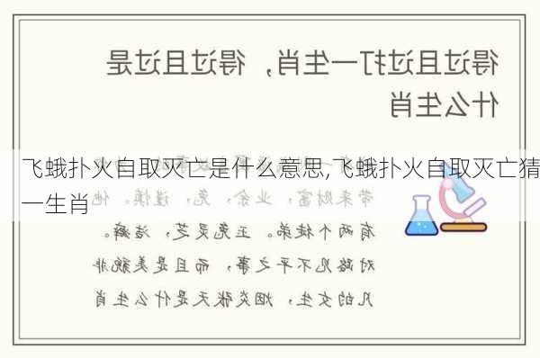 飞蛾扑火自取灭亡是什么意思,飞蛾扑火自取灭亡猜一生肖