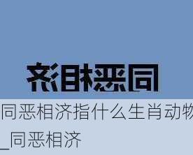 同恶相济指什么生肖动物_同恶相济