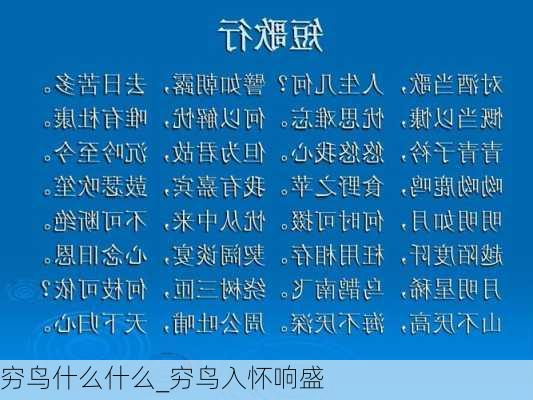 穷鸟什么什么_穷鸟入怀响盛