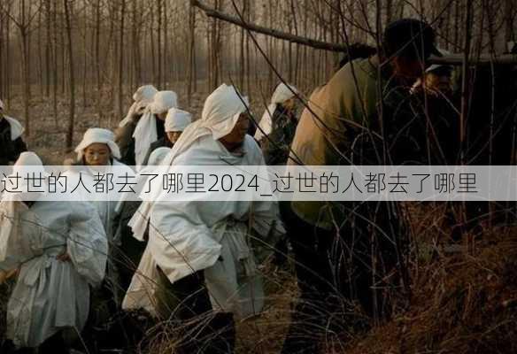 过世的人都去了哪里2024_过世的人都去了哪里