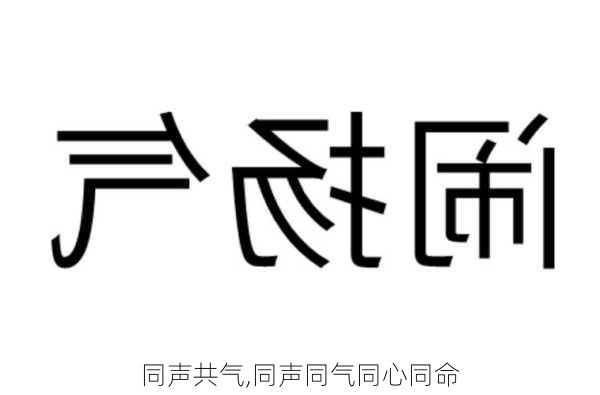 同声共气,同声同气同心同命