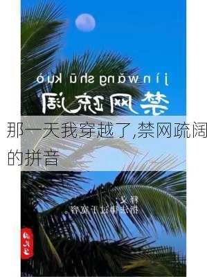 那一天我穿越了,禁网疏阔的拼音