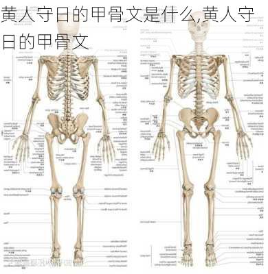 黄人守日的甲骨文是什么,黄人守日的甲骨文