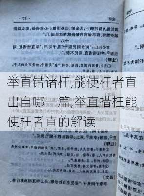 举直错诸枉,能使枉者直出自哪一篇,举直措枉能使枉者直的解读