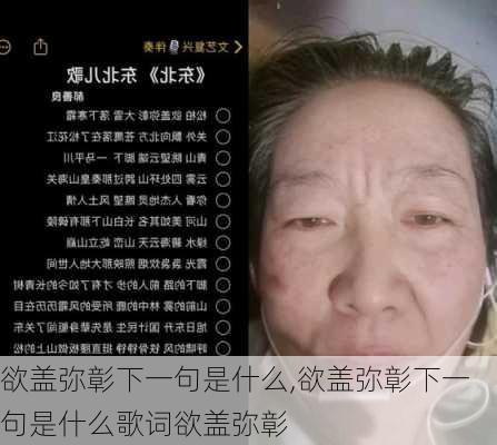 欲盖弥彰下一句是什么,欲盖弥彰下一句是什么歌词欲盖弥彰