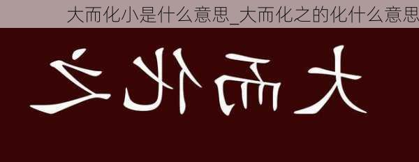 大而化小是什么意思_大而化之的化什么意思