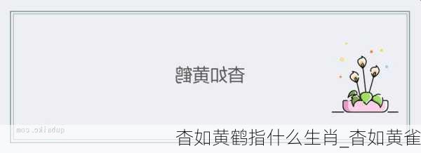 杳如黄鹤指什么生肖_杳如黄雀
