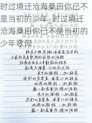 时过境迁沧海桑田你已不是当初的少年_时过境迁沧海桑田你已不是当初的少年歌词