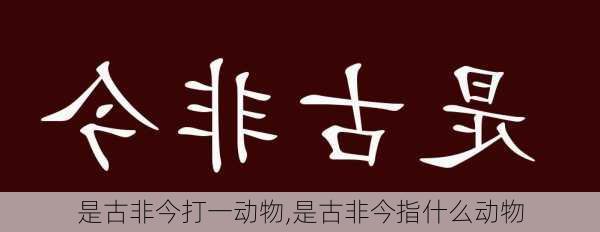 是古非今打一动物,是古非今指什么动物