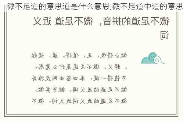 微不足道的意思道是什么意思,微不足道中道的意思