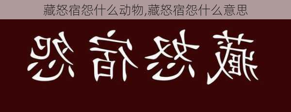 藏怒宿怨什么动物,藏怒宿怨什么意思