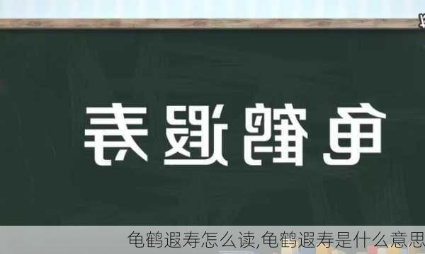 龟鹤遐寿怎么读,龟鹤遐寿是什么意思