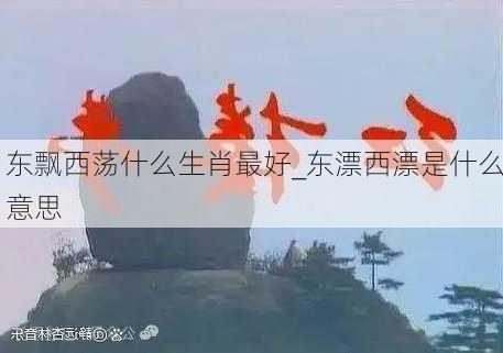 东飘西荡什么生肖最好_东漂西漂是什么意思