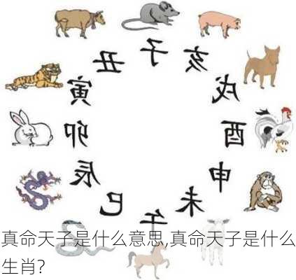 真命天子是什么意思,真命天子是什么生肖?