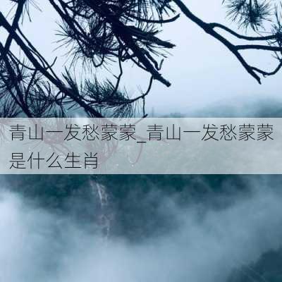 青山一发愁蒙蒙_青山一发愁蒙蒙是什么生肖