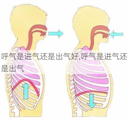 呼气是进气还是出气好,呼气是进气还是出气