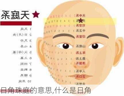 日角珠庭的意思,什么是日角