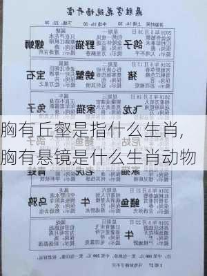 胸有丘壑是指什么生肖,胸有悬镜是什么生肖动物