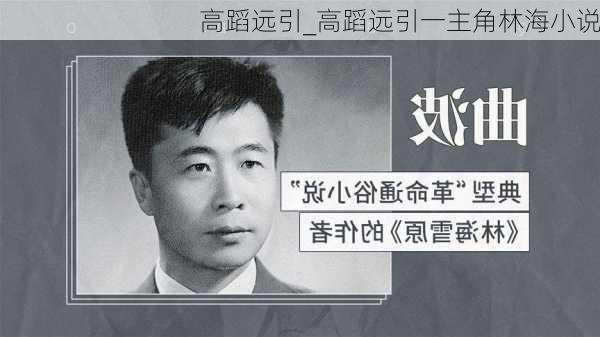 高蹈远引_高蹈远引一主角林海小说