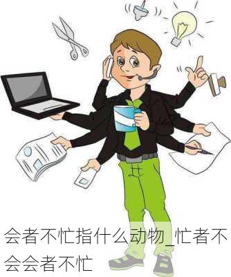 会者不忙指什么动物_忙者不会会者不忙