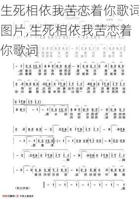 生死相依我苦恋着你歌词图片,生死相依我苦恋着你歌词