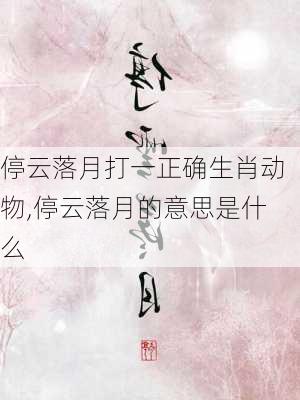 停云落月打一正确生肖动物,停云落月的意思是什么