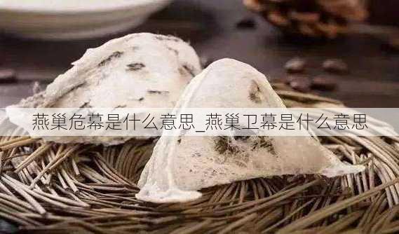 燕巢危幕是什么意思_燕巢卫幕是什么意思