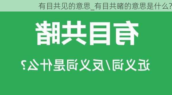 有目共见的意思_有目共睹的意思是什么?