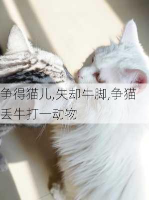 争得猫儿,失却牛脚,争猫丢牛打一动物