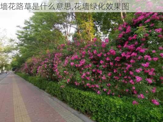 墙花路草是什么意思,花墙绿化效果图