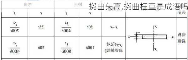 挠曲矢高,挠曲枉直是成语吗