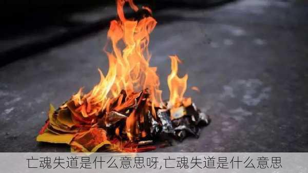 亡魂失道是什么意思呀,亡魂失道是什么意思