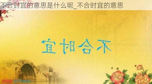 不合时宜的意思是什么呢_不合时宜的意思