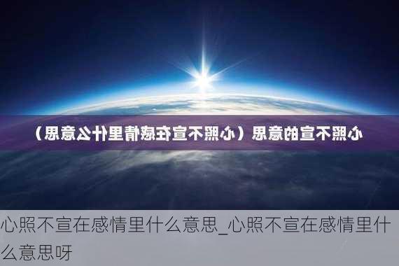 心照不宣在感情里什么意思_心照不宣在感情里什么意思呀